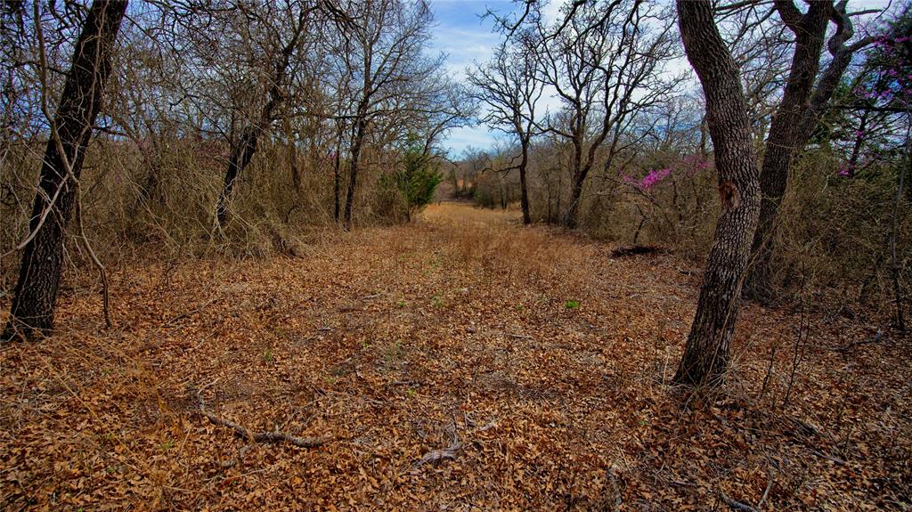 1887 Red Oak Hills Road Nocona, TX 76255 - Photo 11 of 32 a view of a yard with large trees