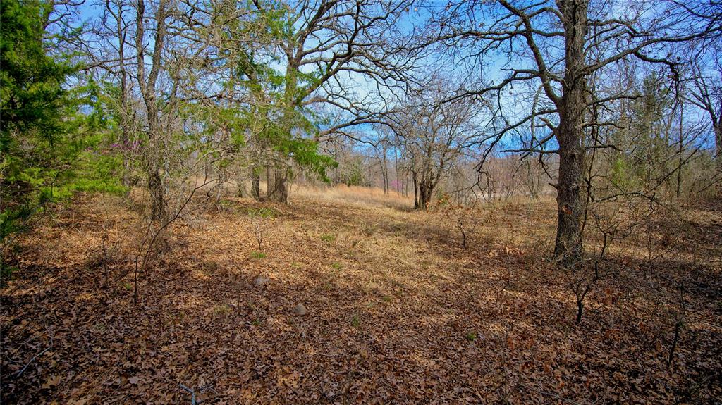 1887 Red Oak Hills Road Nocona, TX 76255 - Photo 12 of 32 a view of a yard with trees