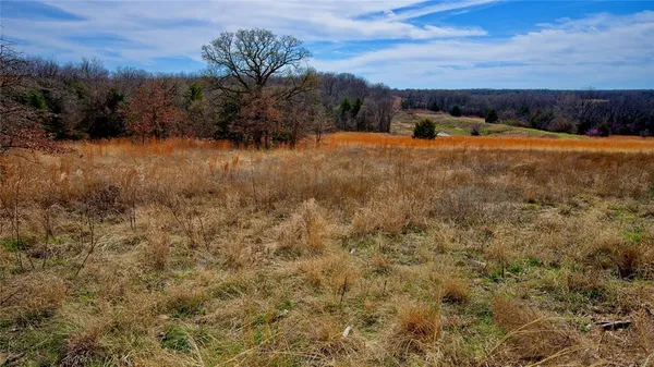 a view of a dry field