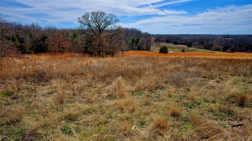 1887 Red Oak Hills Road Nocona, TX 76255 - Photo 13 of 32 a view of a yard with an outdoor space