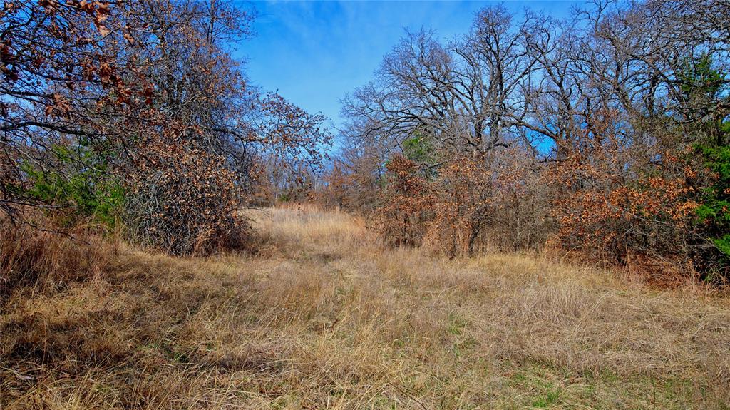 1887 Red Oak Hills Road Nocona, TX 76255 - Photo 14 of 32 a view of a dry field
