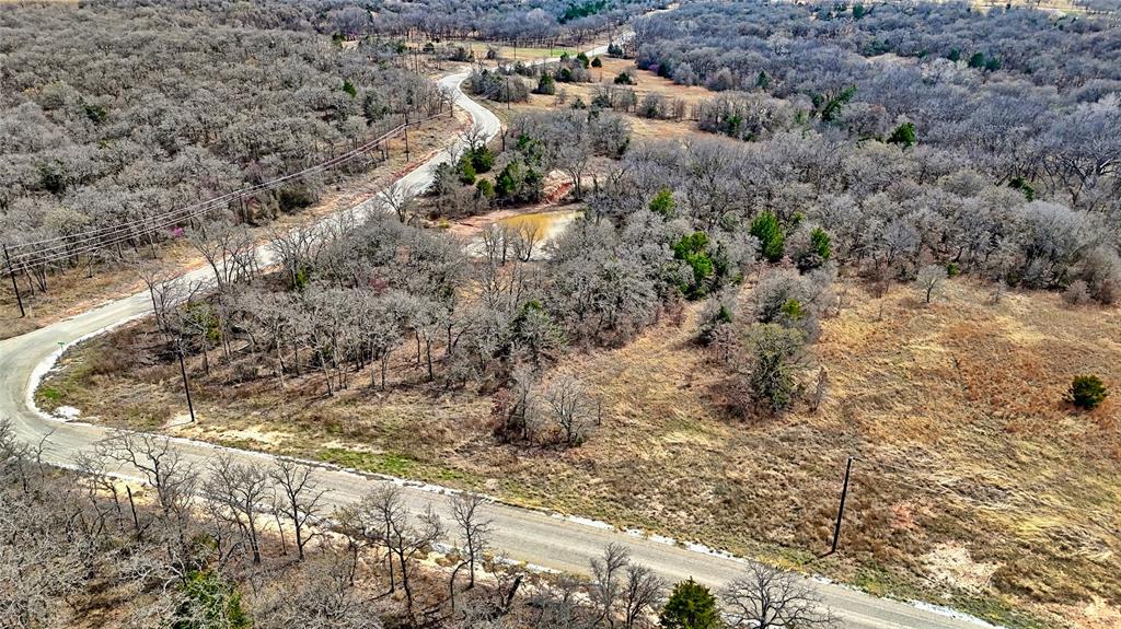 1887 Red Oak Hills Road Nocona, TX 76255 - Photo 15 of 32 a view of a dry yard with lots of trees