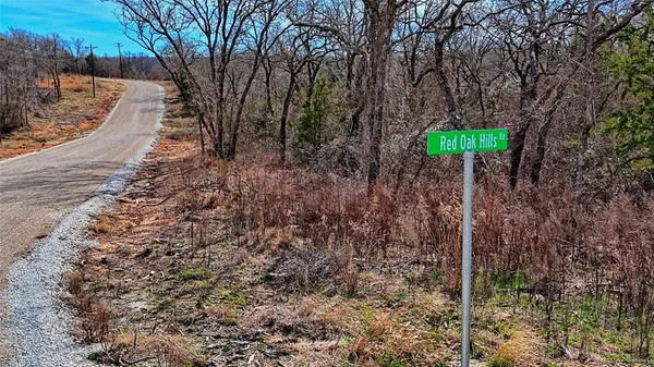 a view of backyard of house