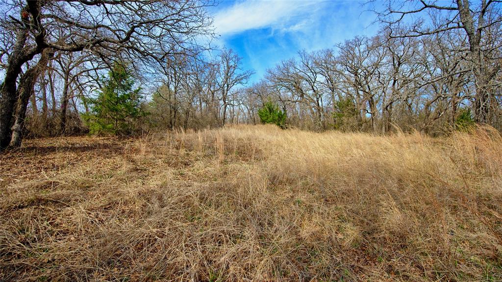 1887 Red Oak Hills Road Nocona, TX 76255 - Photo 17 of 32 a view of backyard of house