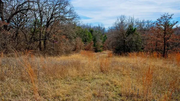 a view of a yard with a house and outdoor space