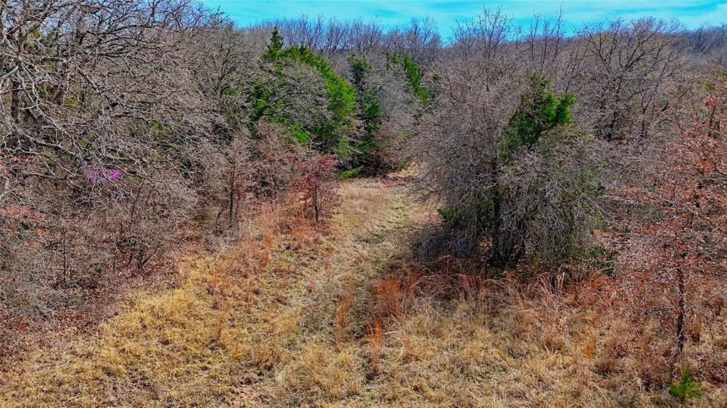 1887 Red Oak Hills Road Nocona, TX 76255 - Photo 21 of 32 a view of a yard