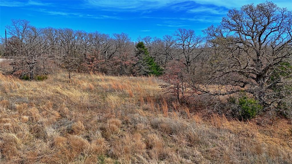 1887 Red Oak Hills Road Nocona, TX 76255 - Photo 23 of 32 a view of a yard with a tree