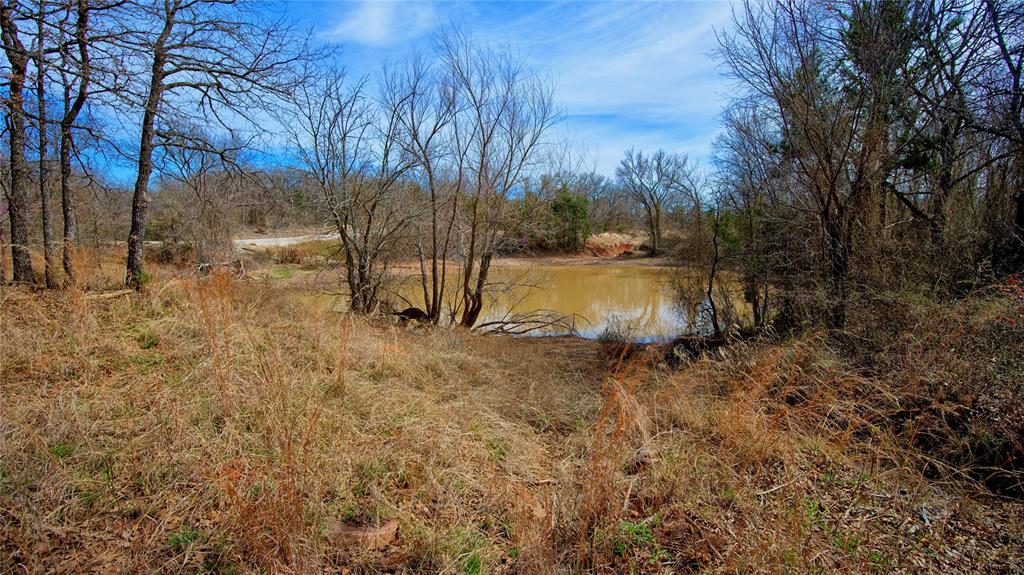 1887 Red Oak Hills Road Nocona, TX 76255 - Photo 25 of 32 a view of a yard with a tree