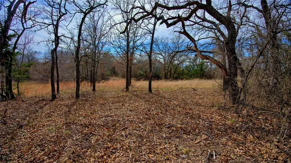 a view of empty space with trees