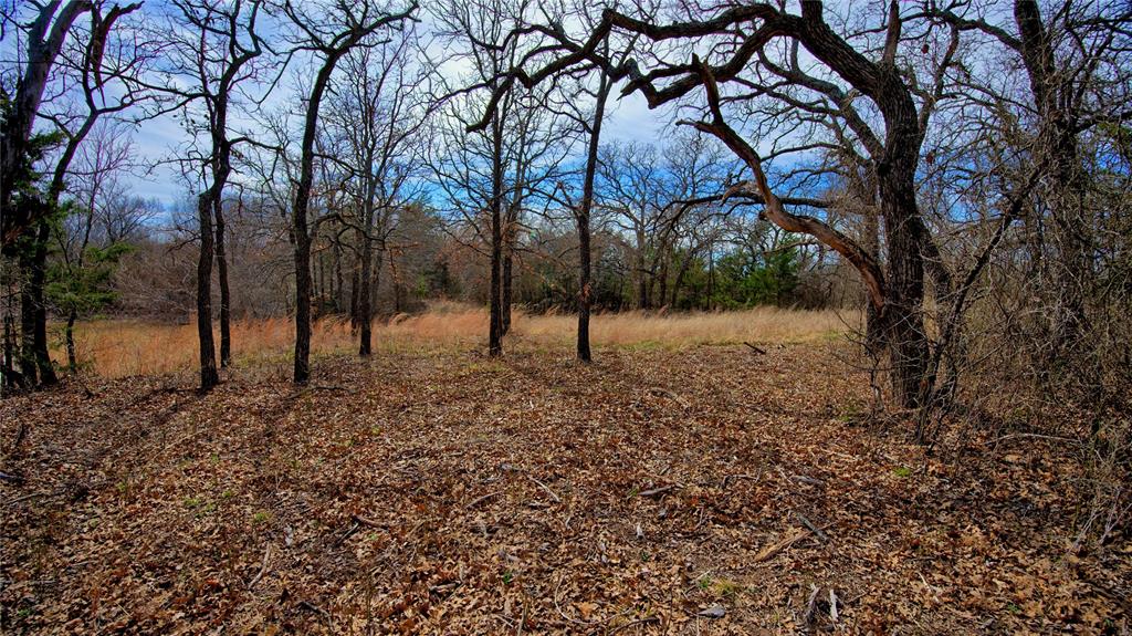 1887 Red Oak Hills Road Nocona, TX 76255 - Photo 5 of 32 a view of empty space with trees