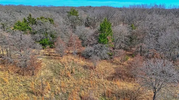 a view of a dry yard with trees