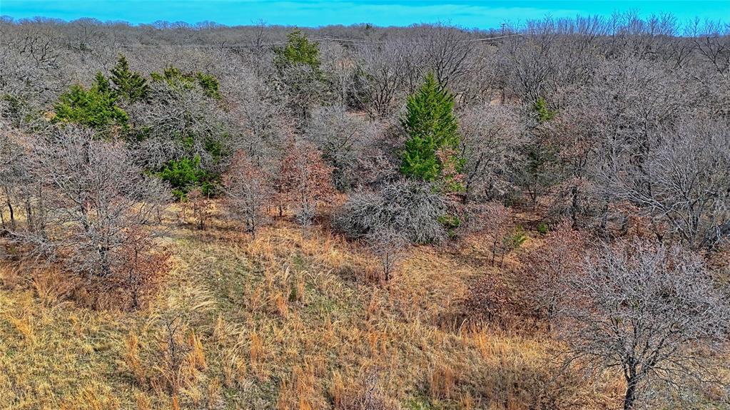 1887 Red Oak Hills Road Nocona, TX 76255 - Photo 8 of 32 a view of a dry yard with wooden fence