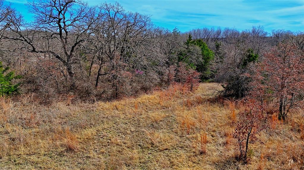 1887 Red Oak Hills Road Nocona, TX 76255 - Photo 9 of 32 a view of a dry yard with trees