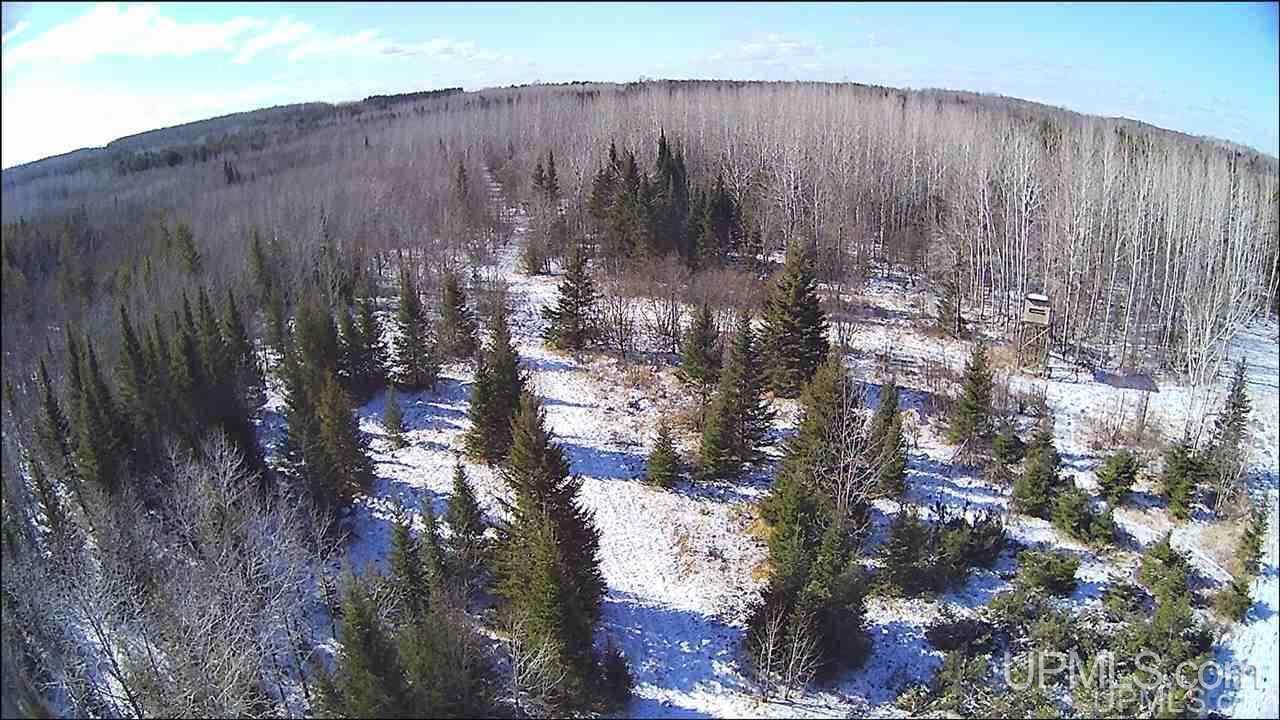 8972 Co Road Rapid River, MI 49878 - Photo 7 of 46