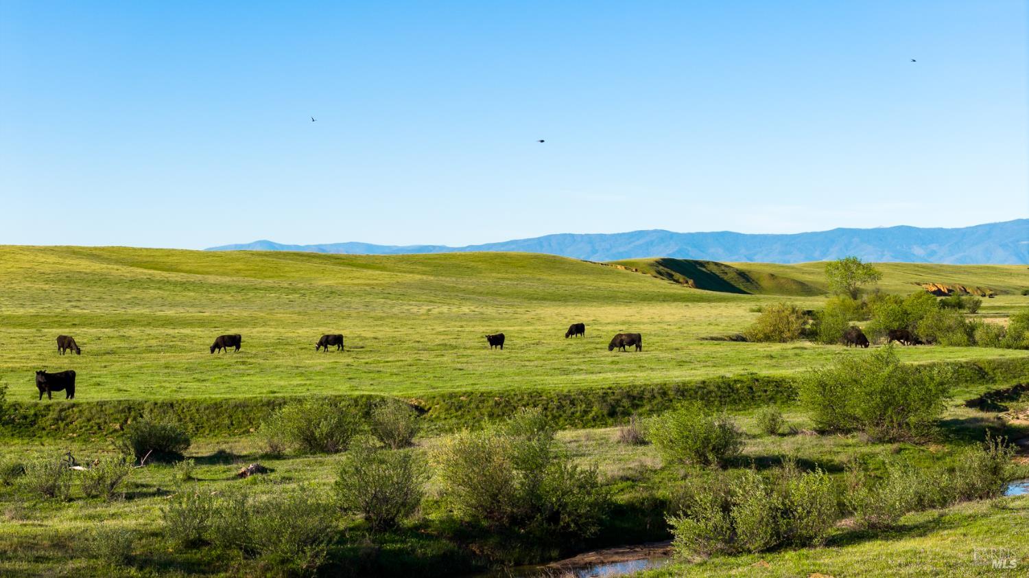 0 Rancho Tehama Road Corning, CA 96021 - Photo 11 of 20
