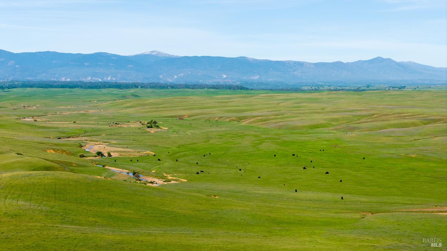 0 Rancho Tehama Road Corning, CA 96021 - Photo 12 of 20