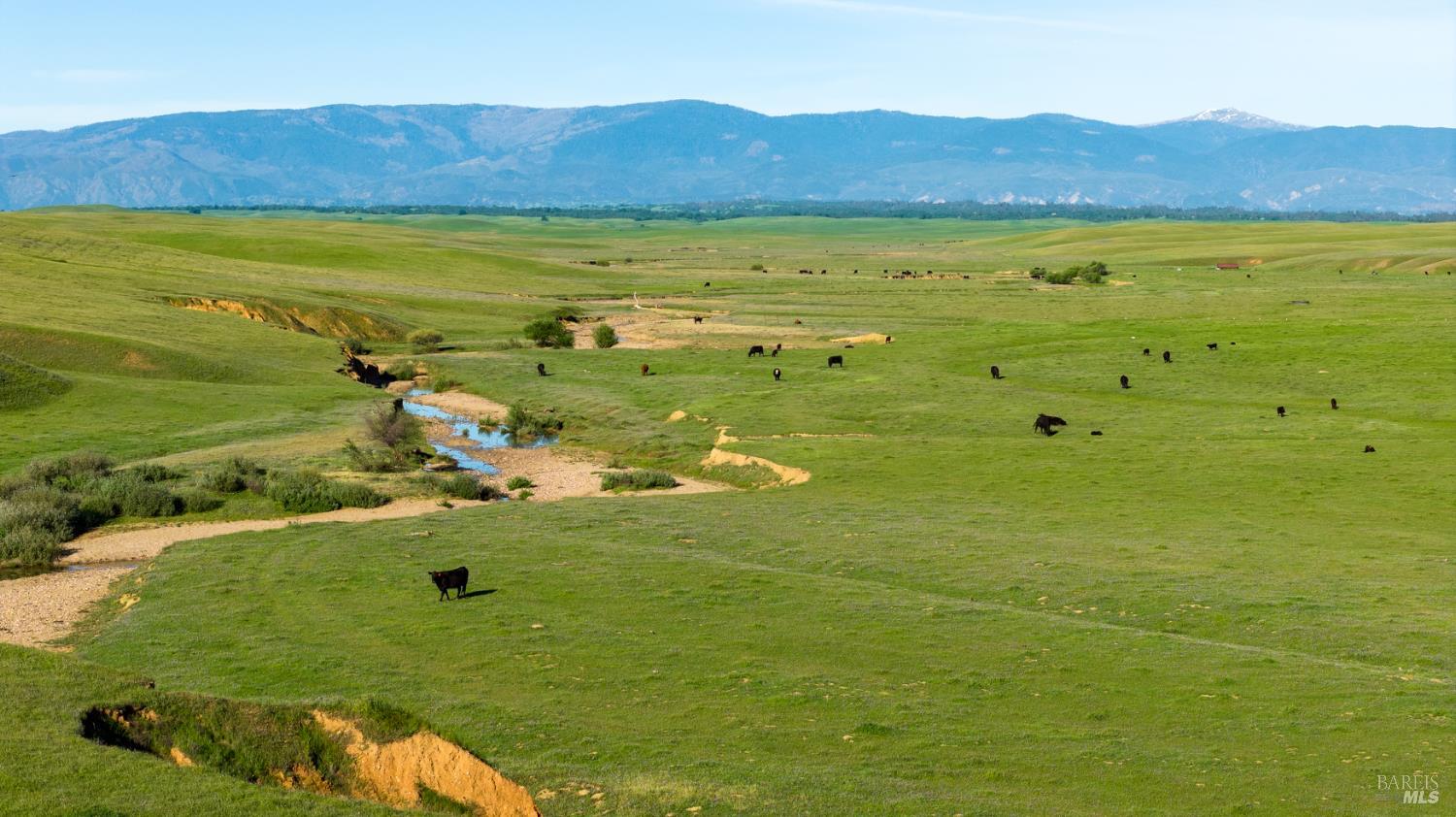 0 Rancho Tehama Road Corning, CA 96021 - Photo 14 of 20