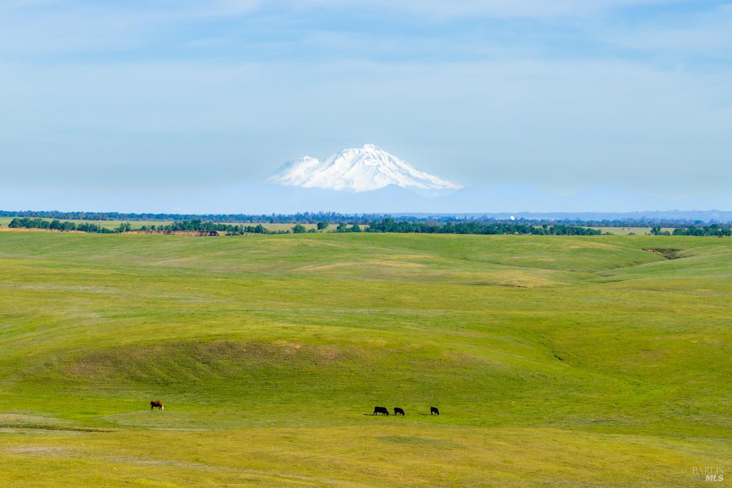 0 Rancho Tehama Road Corning, CA 96021 - Photo 2 of 20