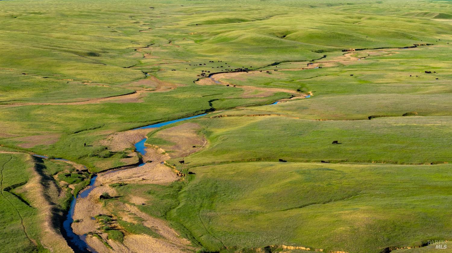 0 Rancho Tehama Road Corning, CA 96021 - Photo 5 of 20