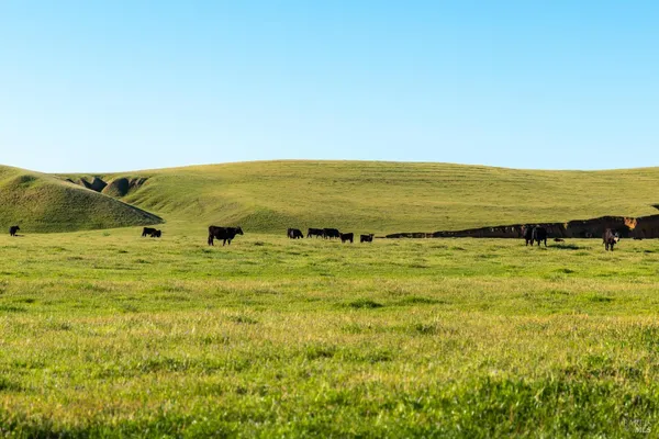 $6,950,000 | 0 Rancho Tehama Road, Corning, CA 96021