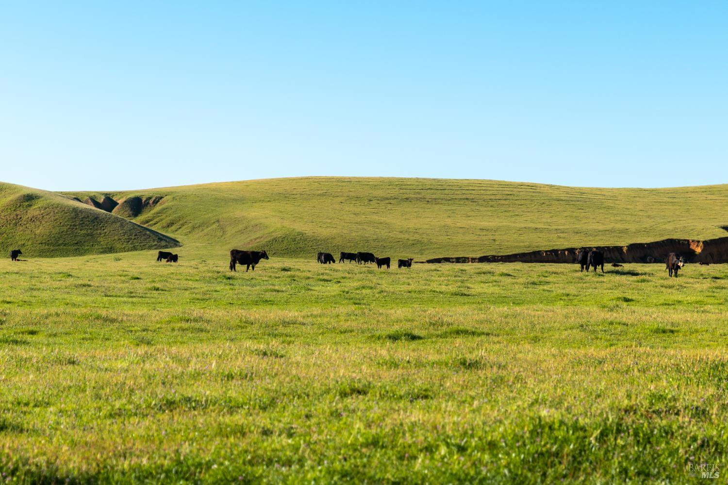 0 Rancho Tehama Road Corning, CA 96021 - Photo 7 of 20