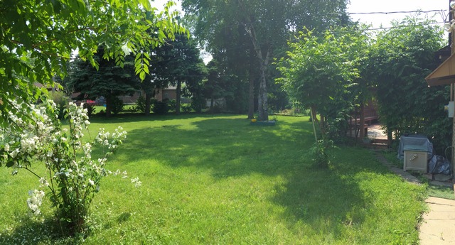 5925 107th Street Chicago Ridge, IL 60415 - Photo 15 of 21 a view of a backyard with large trees