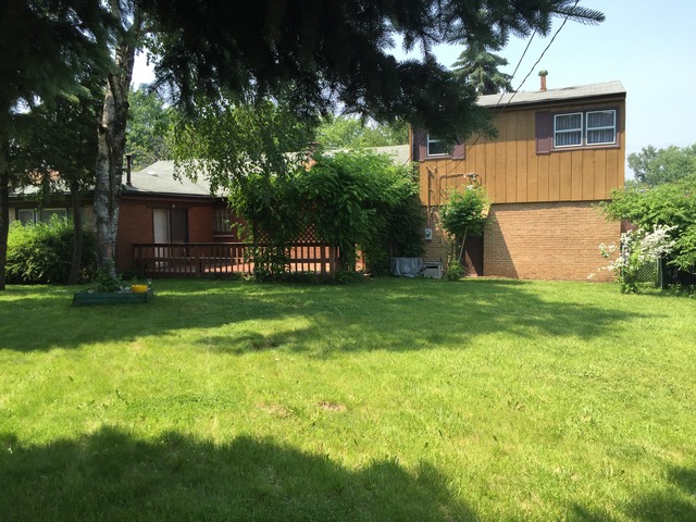 5925 107th Street Chicago Ridge, IL 60415 - Photo 16 of 21 a view of a backyard with a small cabin