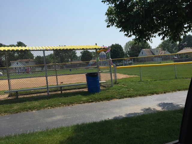 5925 107th Street Chicago Ridge, IL 60415 - Photo 19 of 21 a view of a park