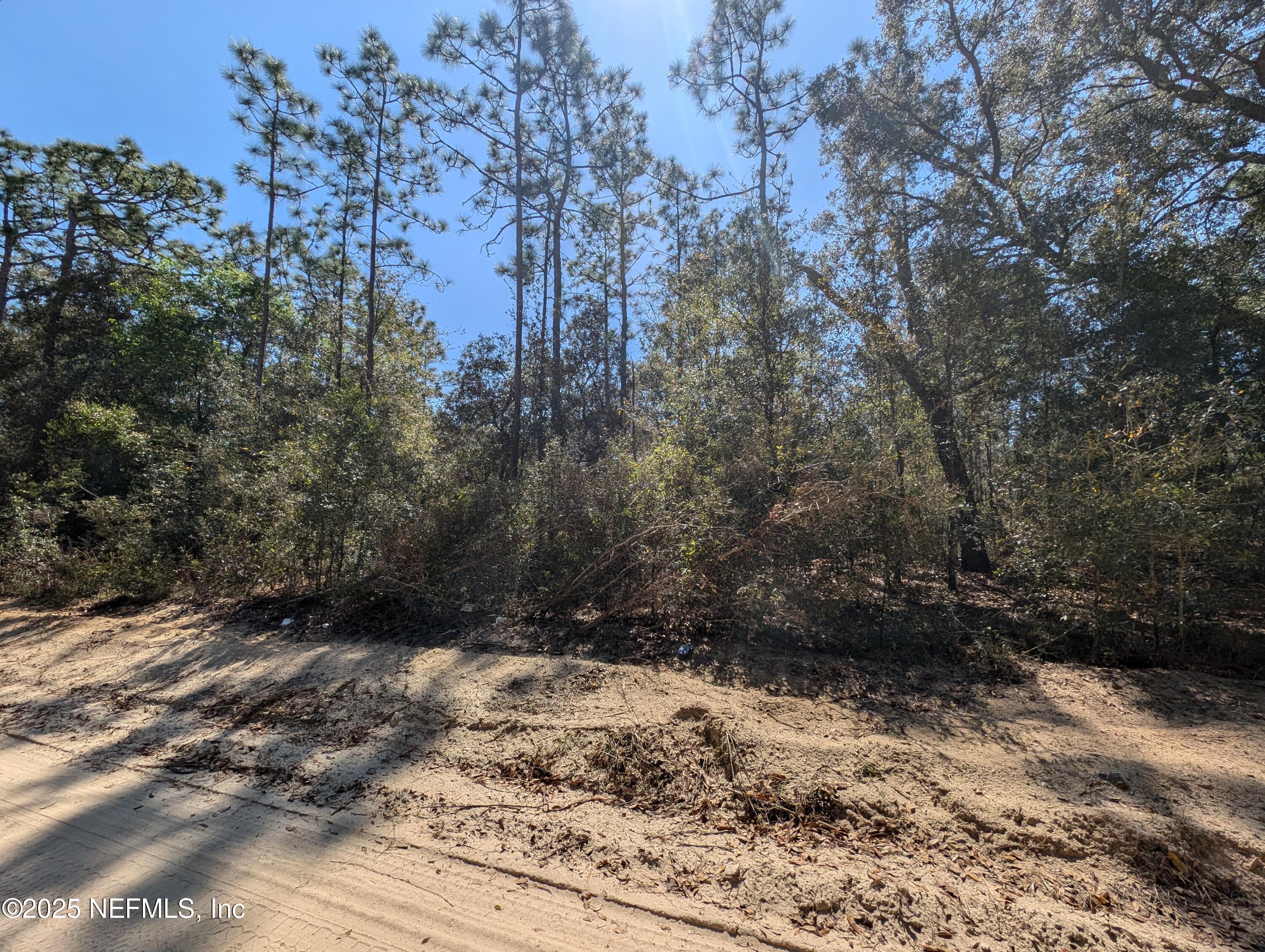 a view of a backyard of a house