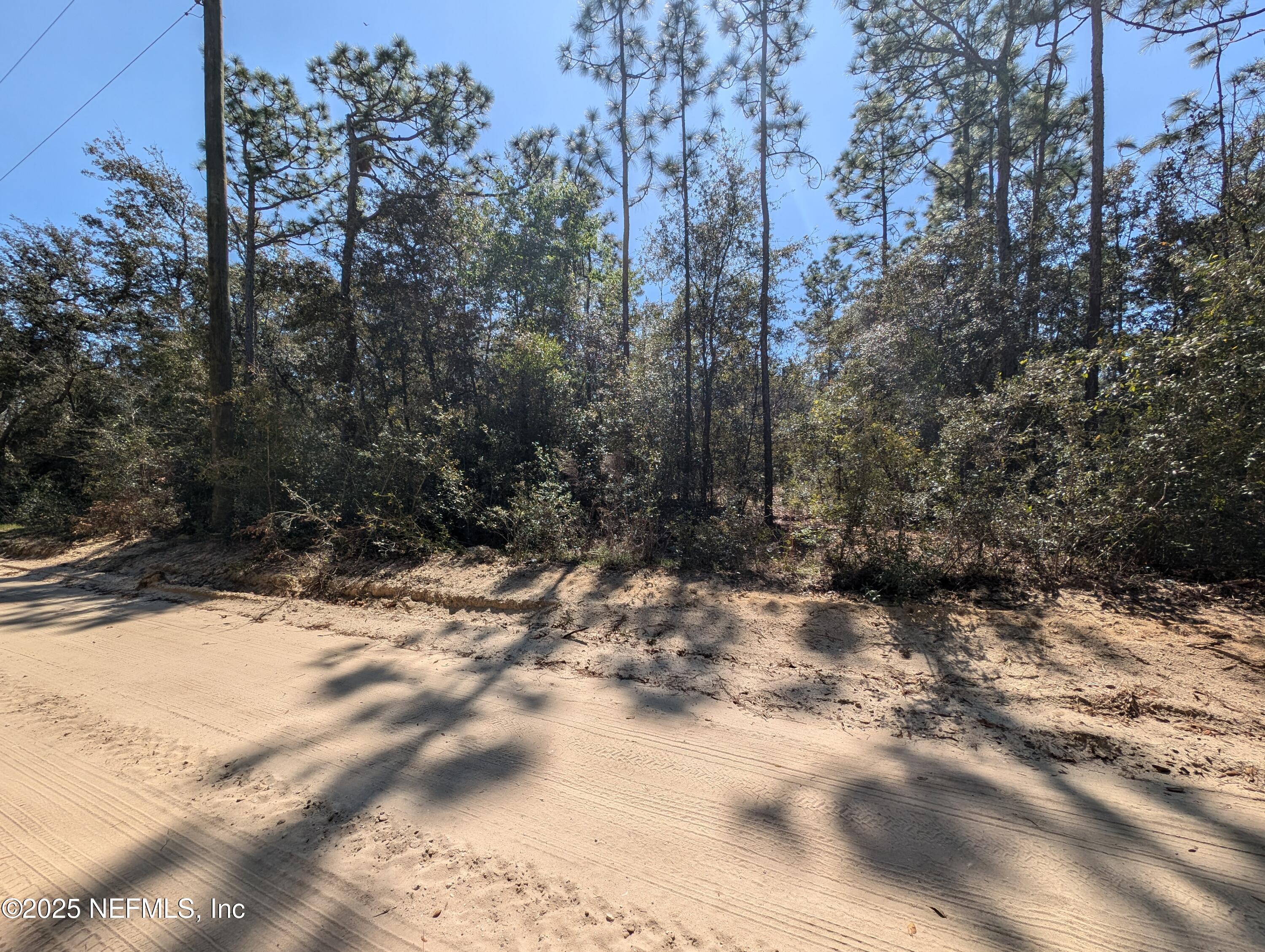 200-0120 Pine Drive Interlachen, FL 32148 - Photo 2 of 6 a view of a yard covered in snow