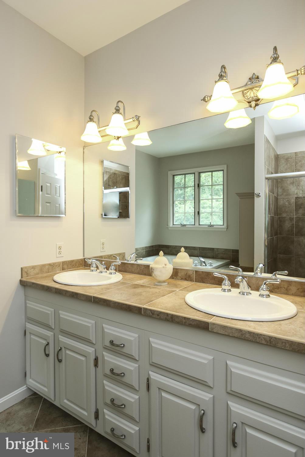 1901 Stockton Road Phoenix, MD 21131 - Photo 22 of 30 Owner's Bathroom Double vanity