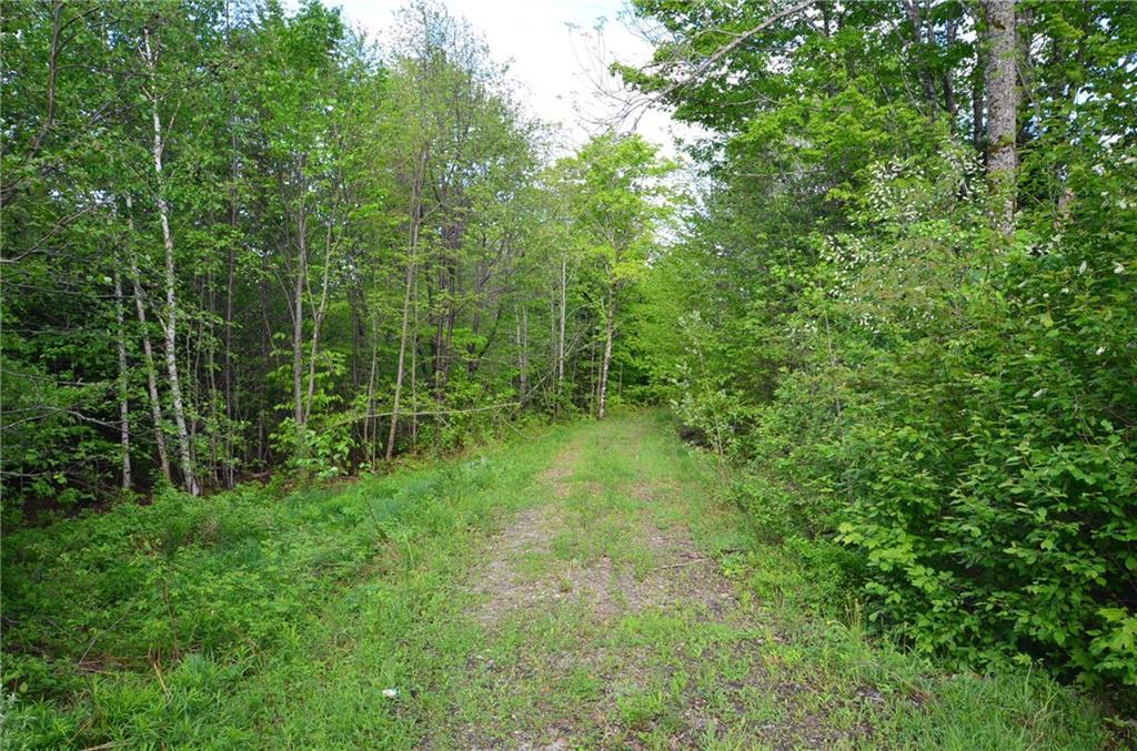 0 Graham Road Smyrna Mills, ME 04780 - Photo 4 of 14 Maine Land for Sale in Smyrna