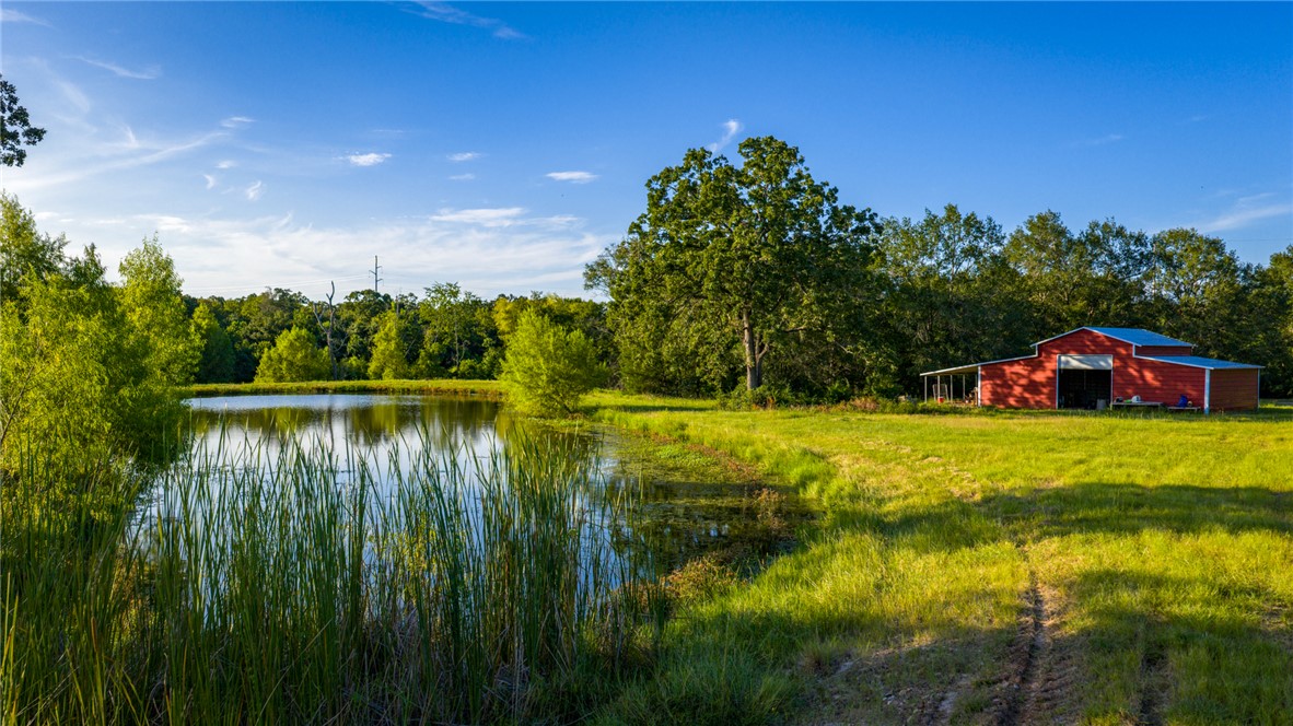 6045 Old Reliance Road Bryan, TX 77808 - Photo 31 of 50 a view of lake