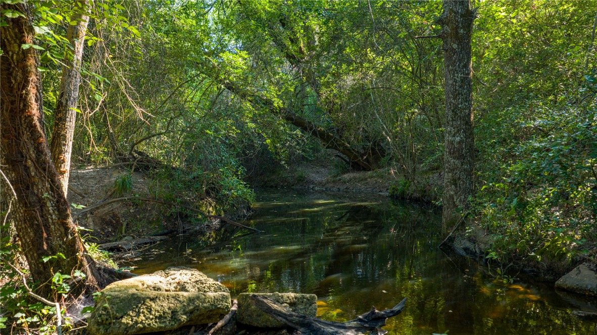 6045 Old Reliance Road Bryan, TX 77808 - Photo 42 of 50 a view of lake
