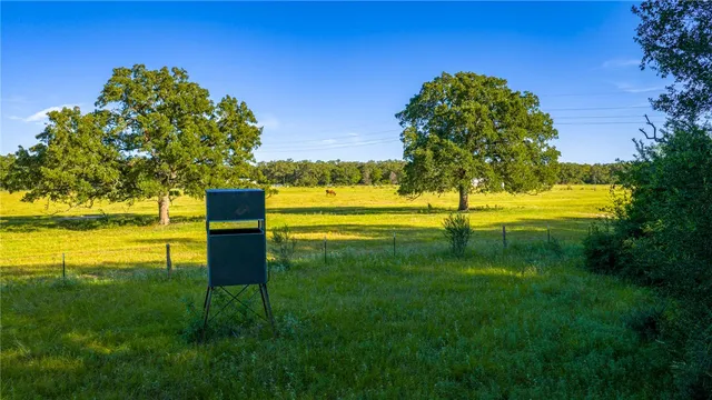 a view of a big yard with an outdoor space