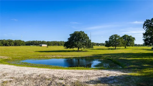 a view of a lake with houses in the back