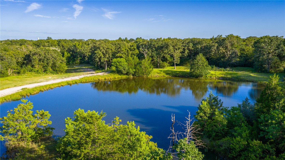 6045 Old Reliance Road Bryan, TX 77808 - Photo 48 of 50 a view of a lake with houses in the back