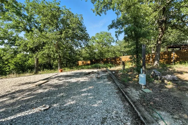 a view of a yard with plants and trees