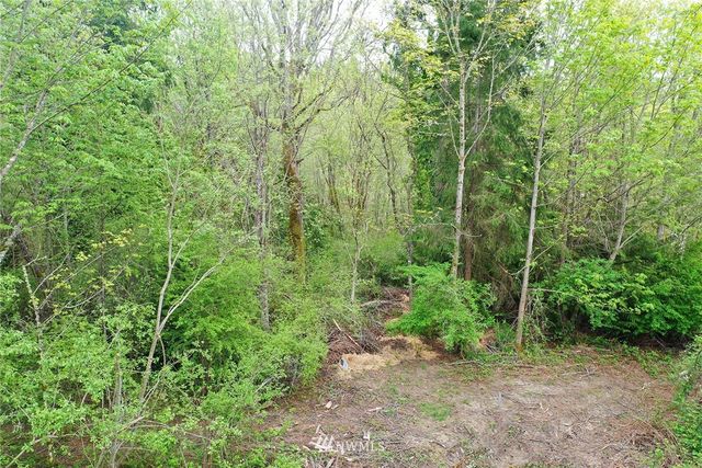 a view of a forest with trees in the background