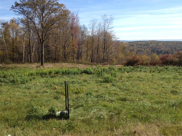 Lot 61 Ed Clark Road Colrain, MA 01340 - Photo 2 of 4