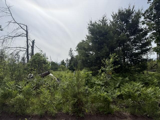 3 South Nelson Road Idlewild, MI 49642 - Photo 5 of 6 IMG_6952