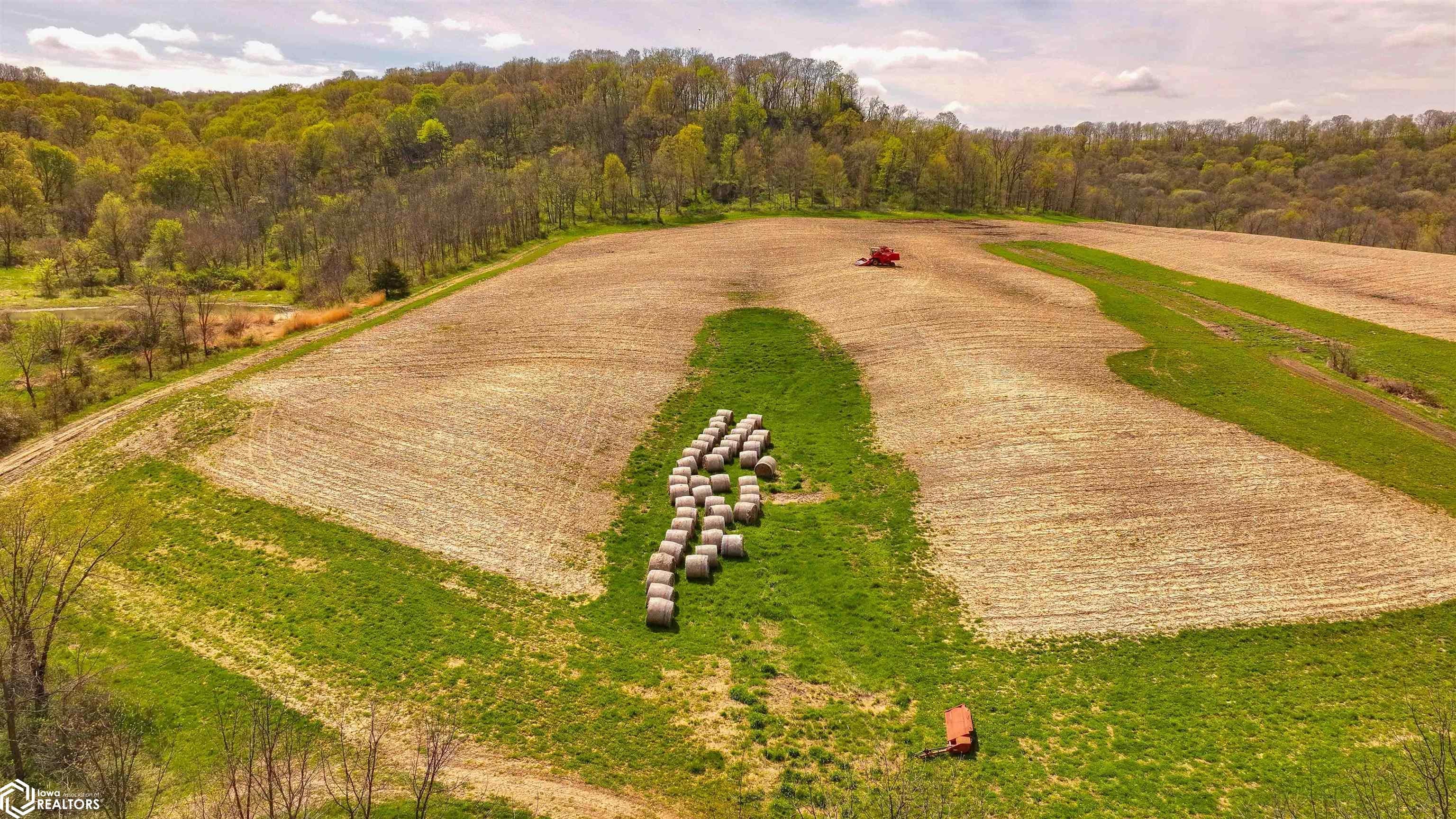 38346 Cherry Valley Road Guttenberg, IA 52052 - Photo 52 of 75 Gallery Image 52