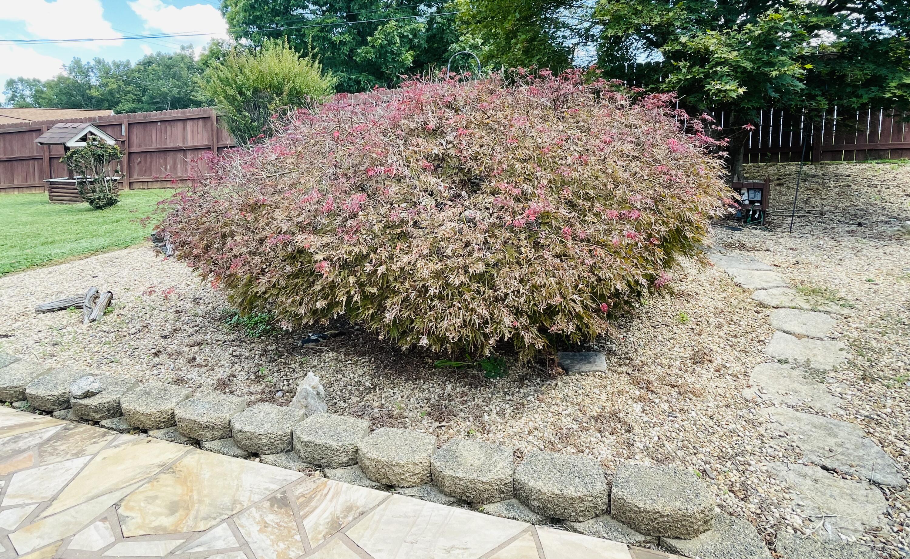 1035 Oyler Road Hardy, VA 24101 - Photo 36 of 70 landscaping oyler