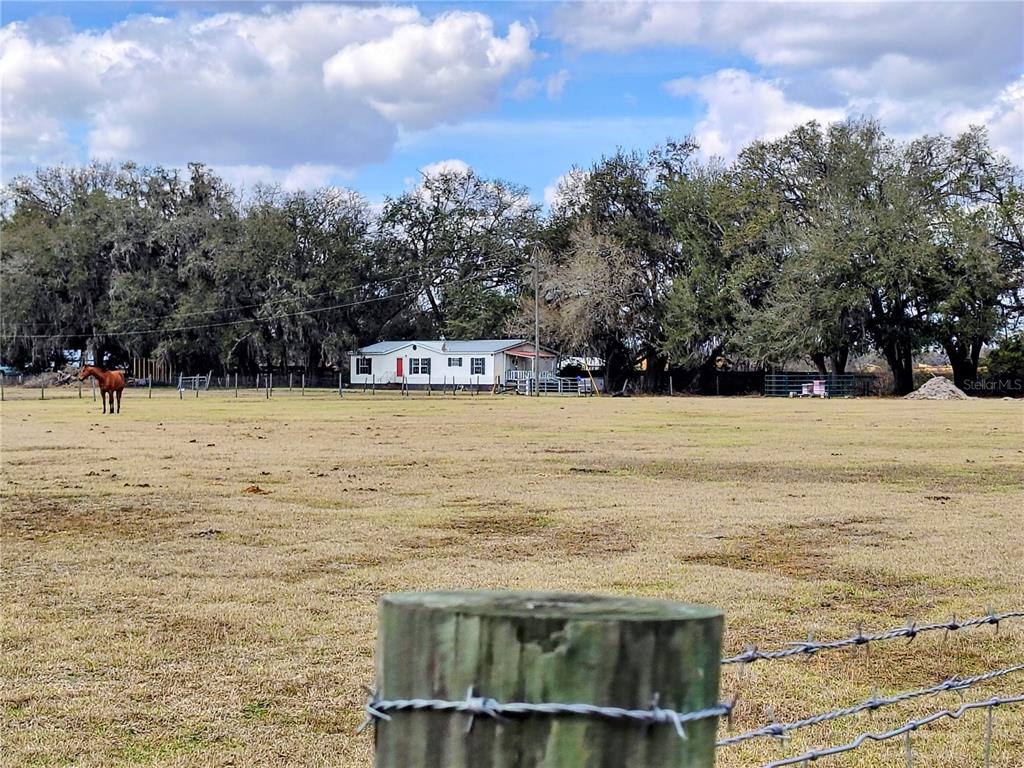 14240 State Rte 471 Webster, FL 33597 - Photo 50 of 53
