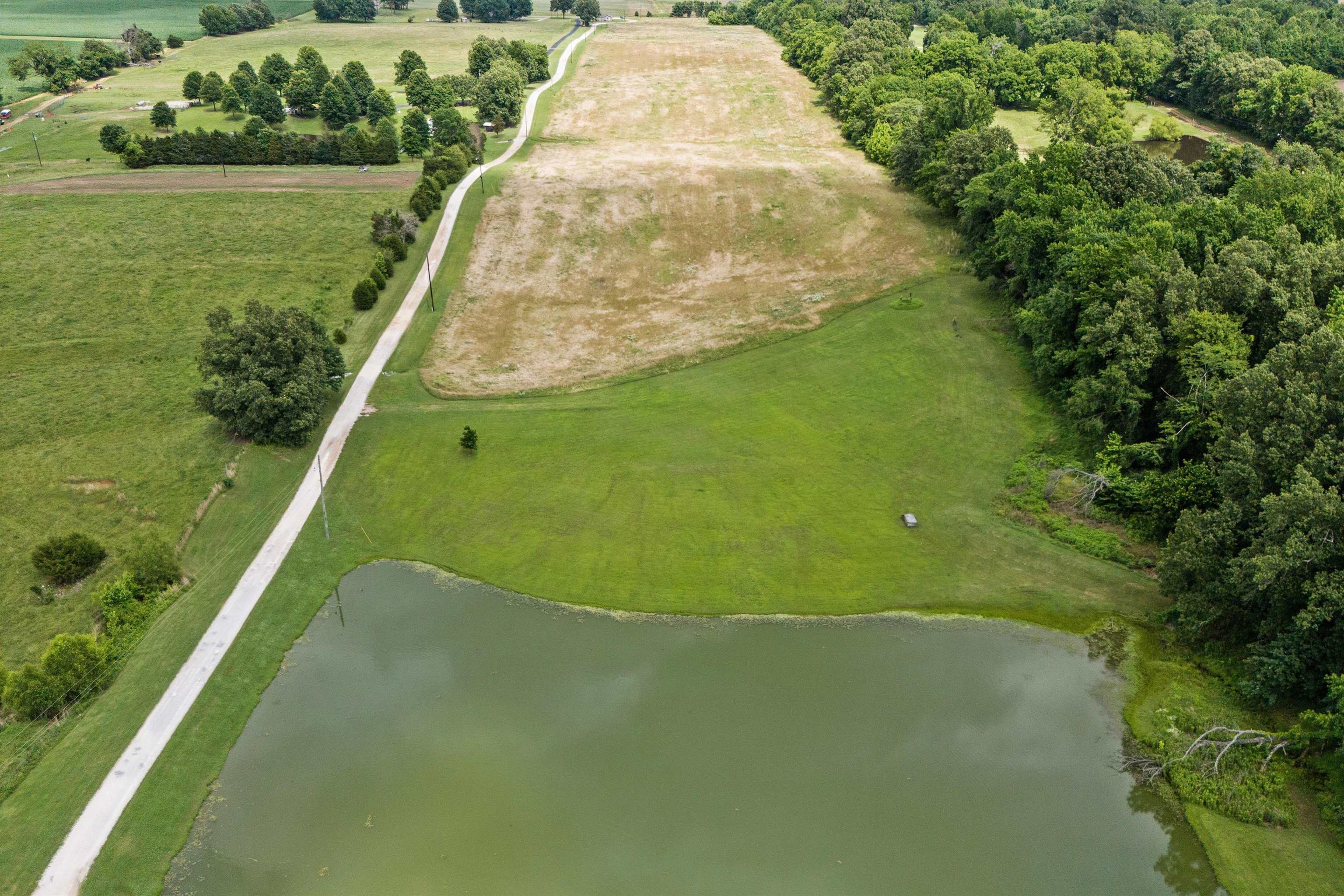 1 Mt Carmel Road Covington, TN 38019 - Photo 4 of 11 Gallery Image 4
