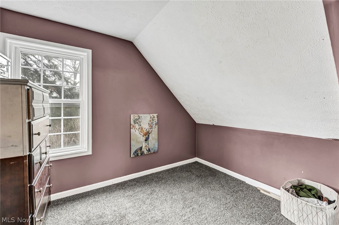 2833 Hubbard Road Madison, OH 44057 - Photo 28 of 40