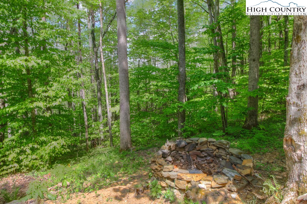 808 Timberlane Drive Boone, NC 28607 - Photo 22 of 30 Gallery Image 22
