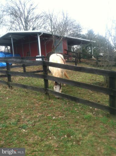 11343 Vale Road Oakton, VA 22124 - Photo 11 of 12 ABUTTING HORSES