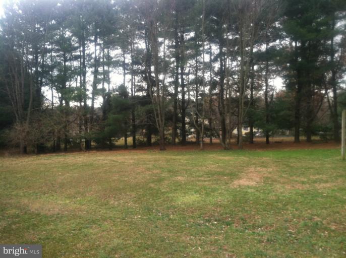 11343 Vale Road Oakton, VA 22124 - Photo 12 of 12 HORSE TRAIL