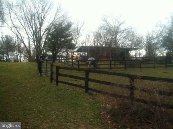 11343 Vale Road Oakton, VA 22124 - Photo 9 of 12 BACKING HORSE TRAILS
